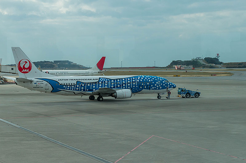 Flugzeug mit Walhai-Lackierung