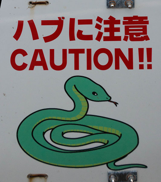 ... und begeben uns dabei in Gefahr ;-)