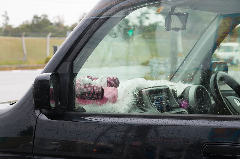 ... manche sehr kreativ ;-)