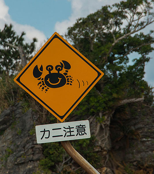 An der Küste sollte man auf die Krabben achten, die manchmal die Straße überqueren