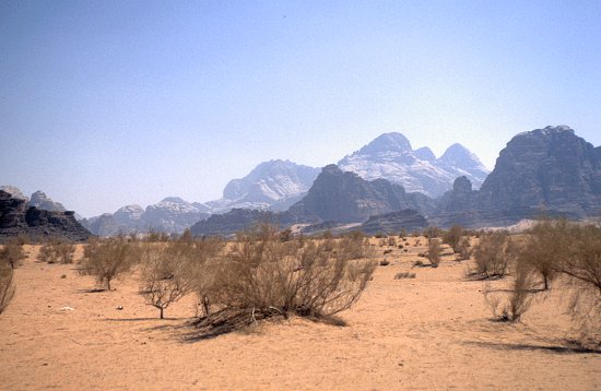 Traumhafte Wüstenlandschaft