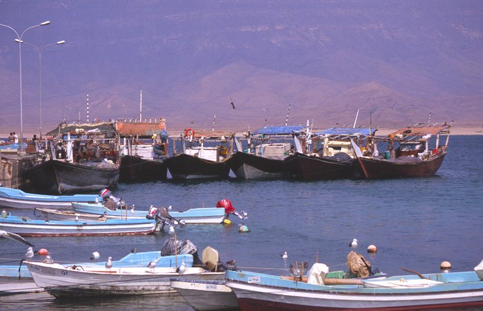 Der neue Hafen von Mirbat