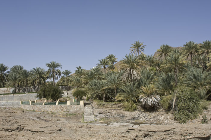 Aus dem felsigen Wadi wird das Wasser für die Oase gepumpt