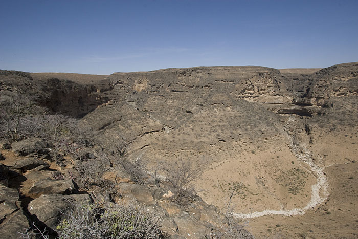 Die Taiq Cave, ein riesiger Nistplatz für Vögel