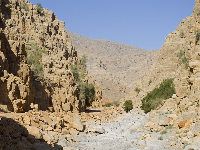 Ein trockenes Flussbett hebt sich hell von den braunen Felsen ab