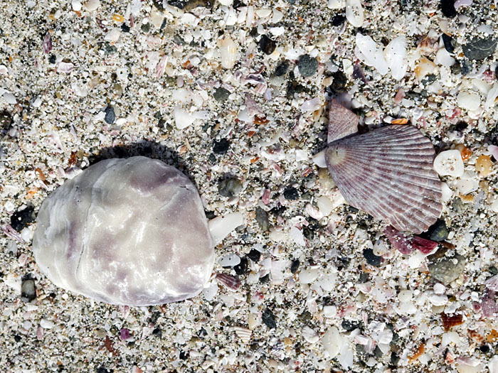 Schöner einsamer Strand