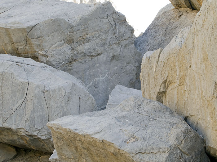 Felsgravuren bei Tawi im Wadi Qada