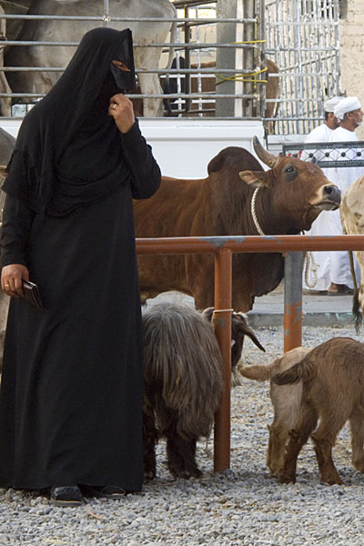 Den Geldbeutel zum bezahlen schon fest in der Hand