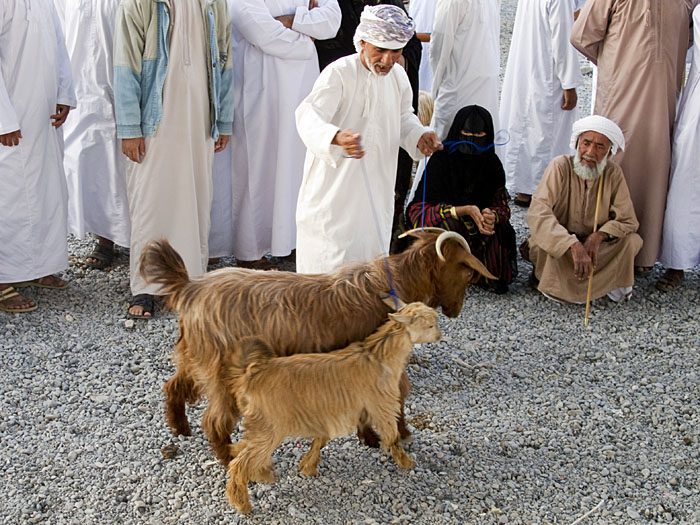 Anpreisen der Tiere