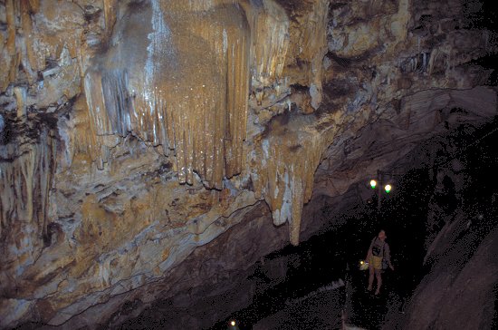 Stalagtiten