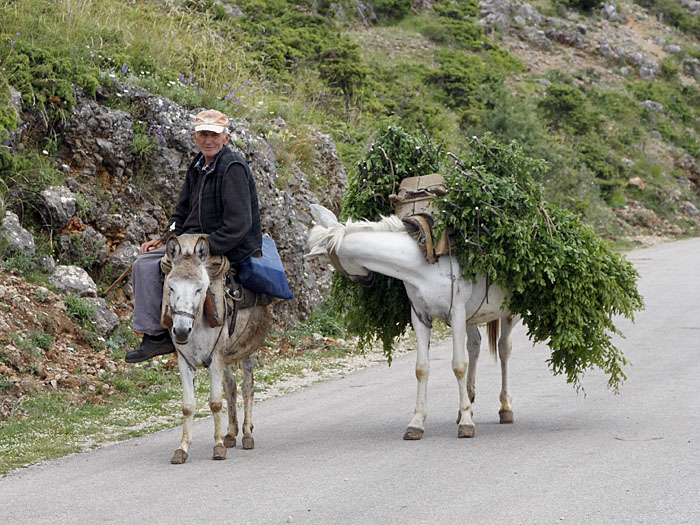Albanien 2011