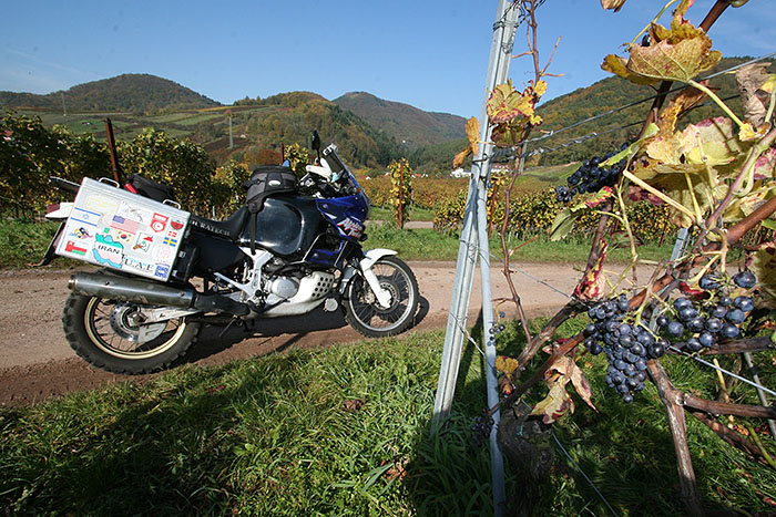 Unterwegs in den Weinbergen