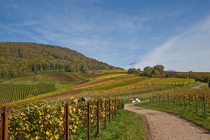 Tolle Farben überziehen die herbstliche Landschaft