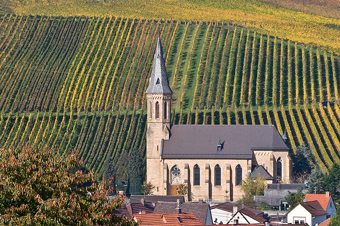 Kirche vor rebenbewachsenen Hügeln