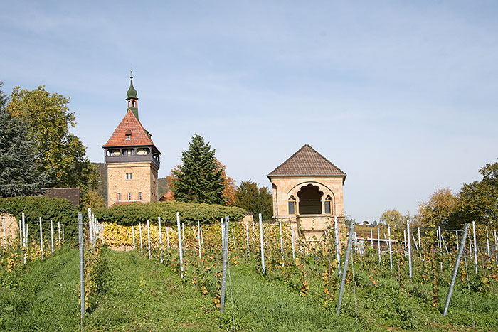 Altes Weingut