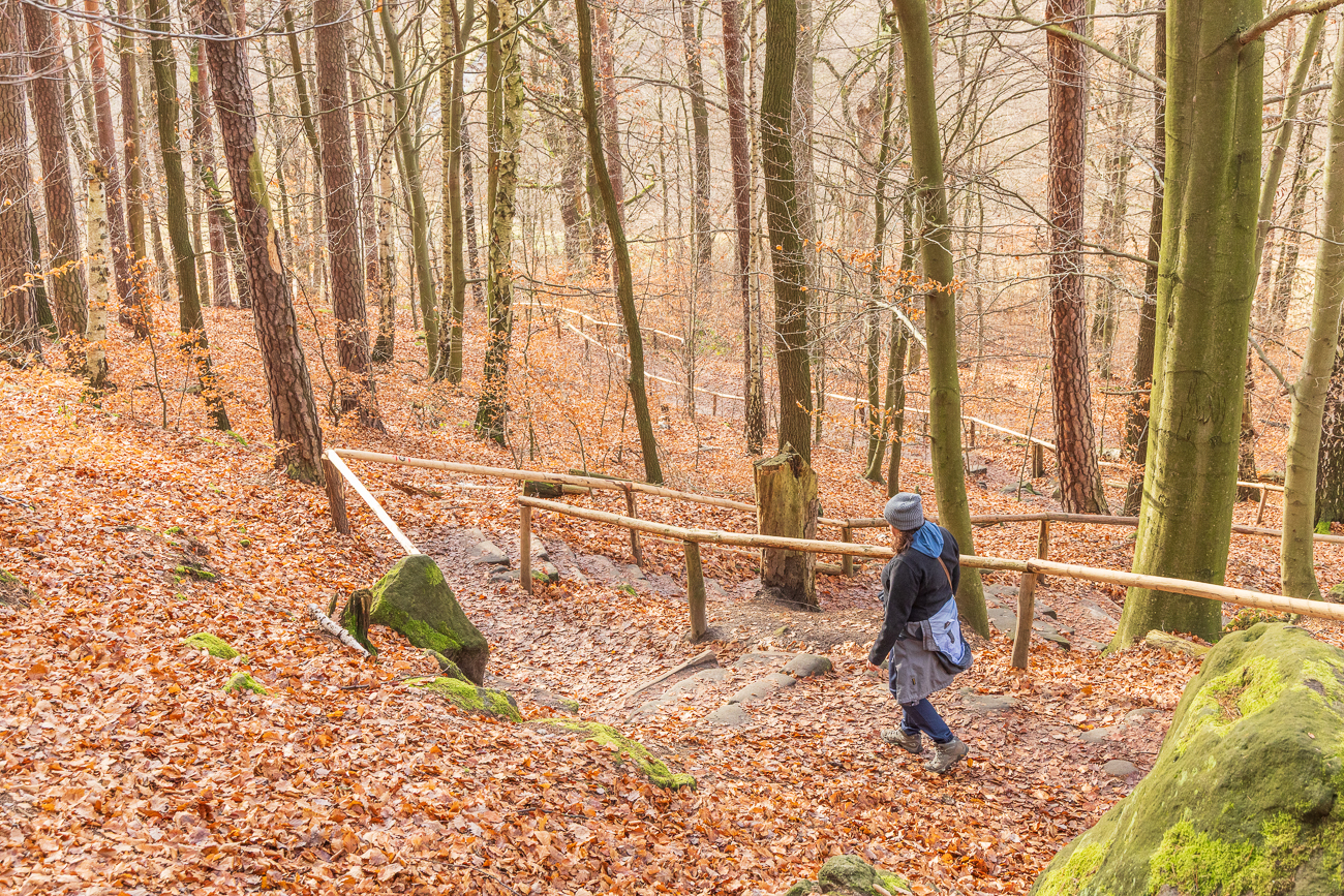 ... erreichen wir weitere Stufen im Wald ;-)