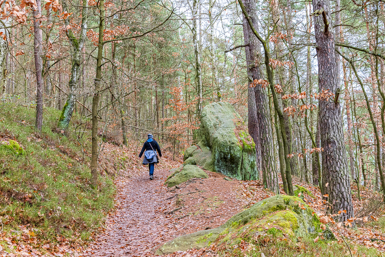 Waldweg zwischen Felsen