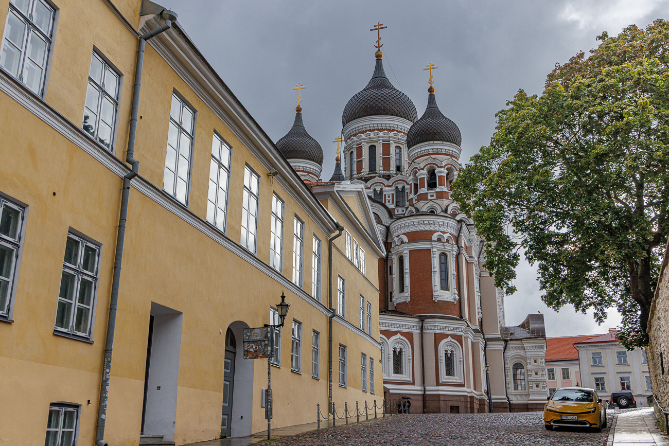 Die Newski-Kathedrale wurde zwischen 1894/1895 und 1900 als russisch-orthodoxe Kathedrale von Michail Preobraschenski in dem damaligen Gouvernement Estland des Russischen Kaiserreiches erbaut. Am Standort auf dem Domberg war ursprünglich ein Lutherdenkmal vorgesehen, dessen Errichtung von den russischen Behörden jedoch untersagt wurde. Die Konsekration der Kathedrale fand am 30. April 1900 statt. Der Bau kostete knapp 600.000 Rubel, es wurden ca. 430.000 gespendet und 150.000 Rubel vom Staat gezahlt. 