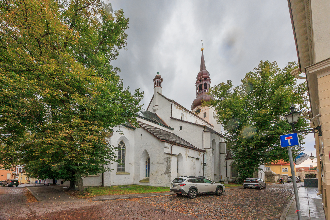 Der Dom zu Tallinn (estnisch Tallinna toomkirik), offiziell die Bischöfliche Domkirche der Heiligen Jungfrau Maria zu Tallinn (estnisch Tallinna Püha Neitsi Maarja Piiskoplik Toomkirik), ist eines der Wahrzeichen der estnischen Hauptstadt. Er ist der Jungfrau Maria geweiht und befindet sich auf dem Domberg in Tallinn. Mit dem Abschluss der Reformation in Estland 1561 wurde er zur lutherischen Domkirche. Er ist heute die Bischofskirche des Erzbischofs der Estnischen Evangelisch-Lutherischen Kirche.