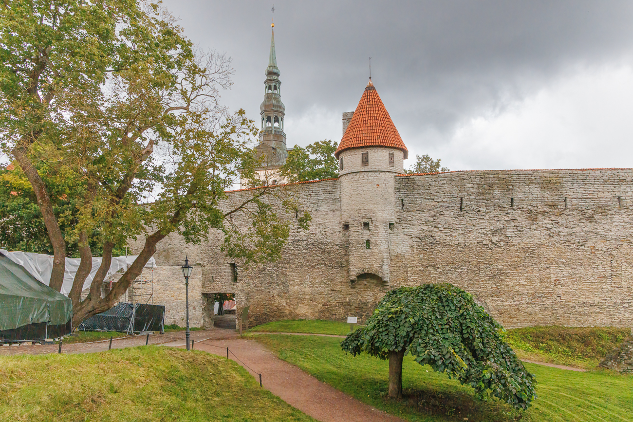 ... im Hintergrund der Rathausturm
