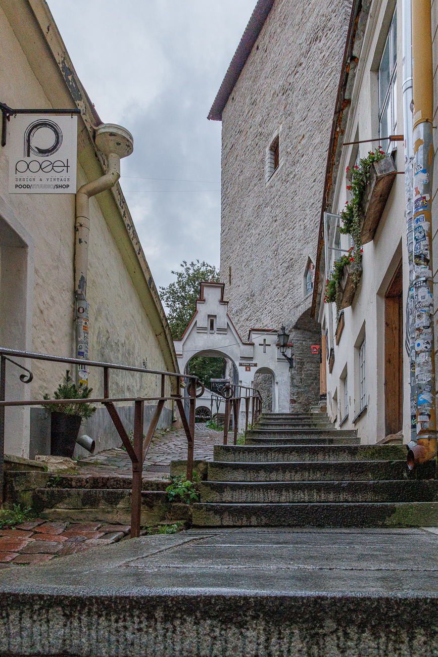 ... dann führen uns die Stufen vom Domberg zurück zur Altstadt