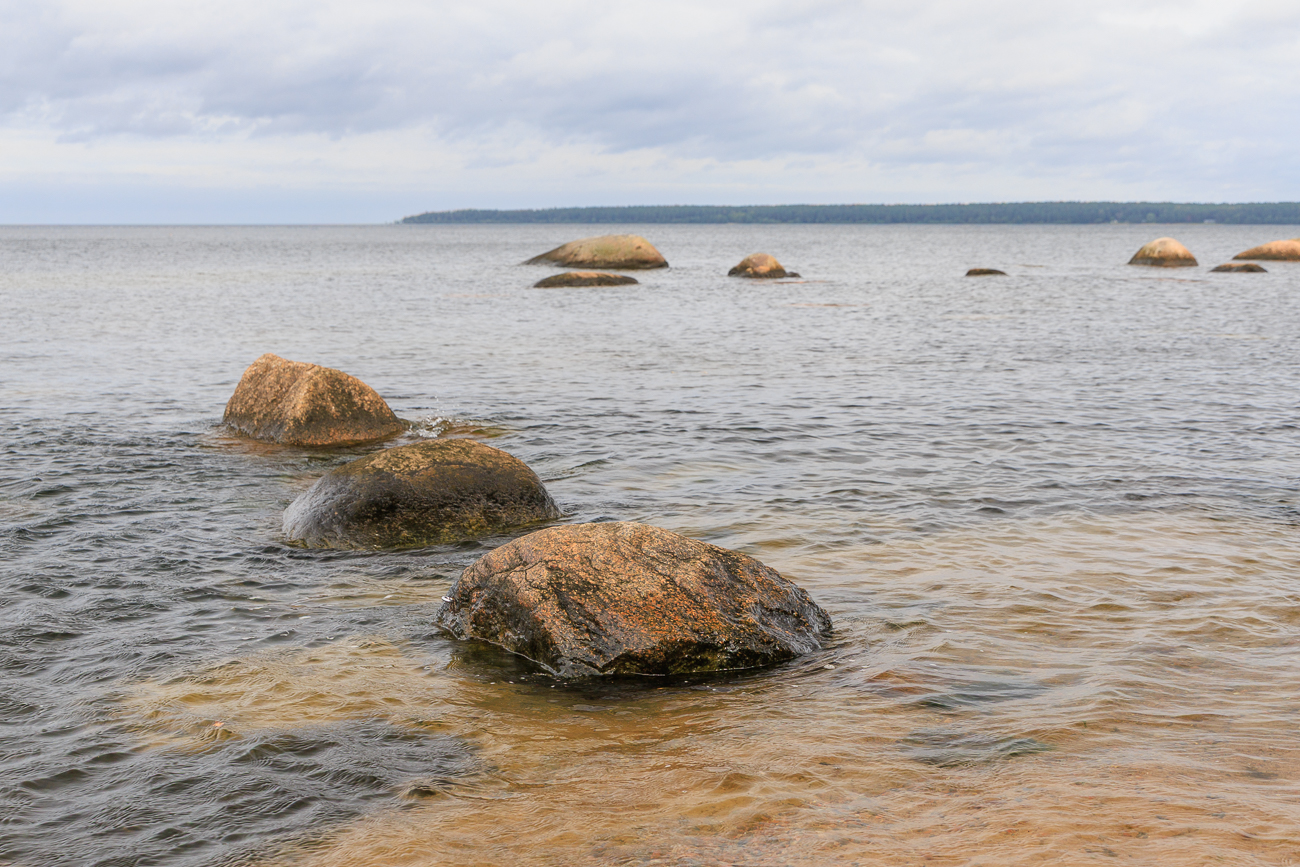 Am Ende des Kapitänsdorfs Käsmu liegt links im Wald das größte Findlingsfeld Estlands. Dies ist ein Ort, wo sich eine große Menge von massiven Findlingsblöcken angehäuft haben. Der größte Block, bekannt als "Eremit" (Matsikivi) ist 4,8 m hoch und hat einem Umfang von 4,7 m. Diese Findlingsblöcke wurden gemeinsam mit dem Schelf vor 10 000 Jahren aus Richtung von Finnland und Schweden hierher getrieben. Heute können Sie das Findlingsfeld auf dem natur- und kulturgeschichtlichen Wanderweg von Käsmu sehen.