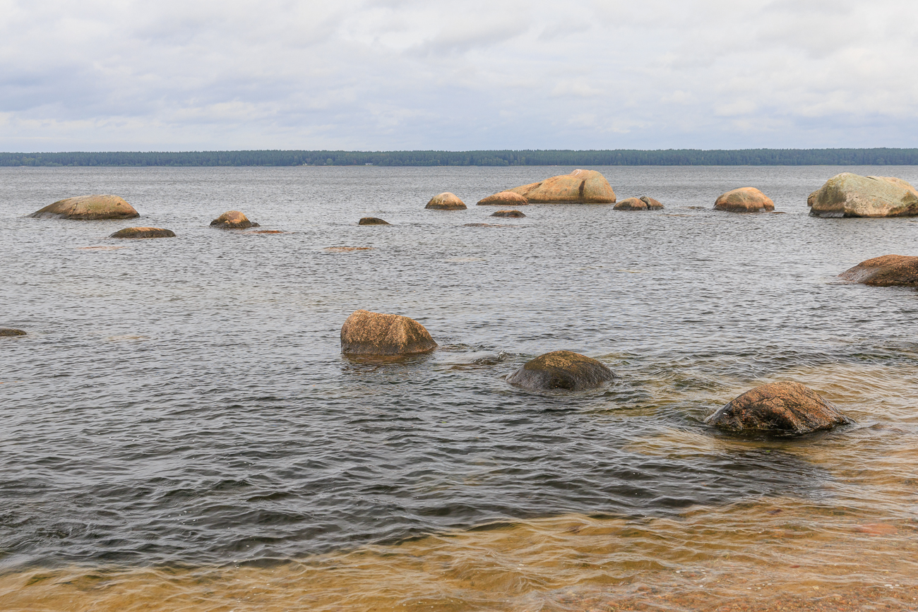 Diese Findlinge liegen im Wasser der Ostsee, die Findlinge im Wald besuchen wir morgen