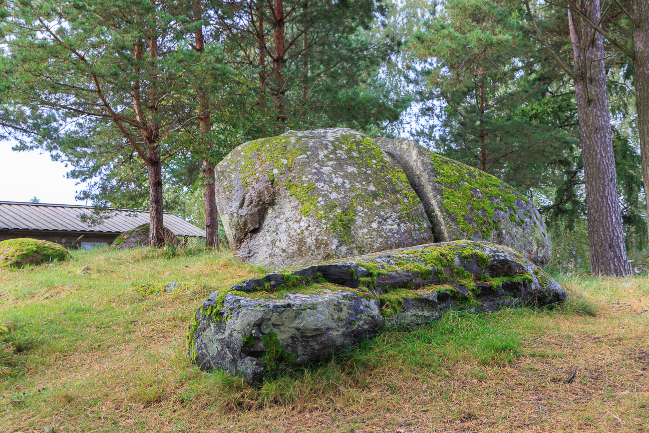 Einer der größeren Findlinge an Land