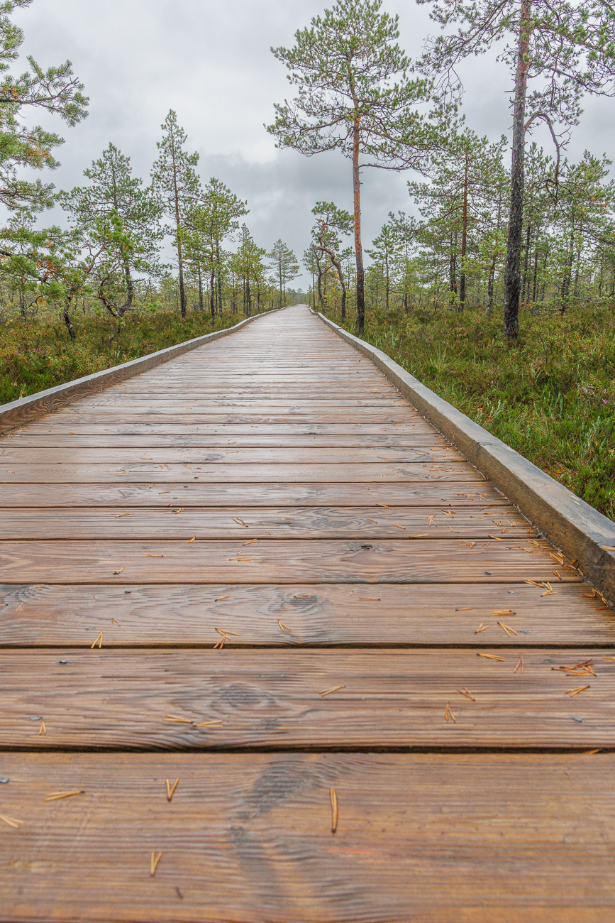 Aber auch etwas rutschig!