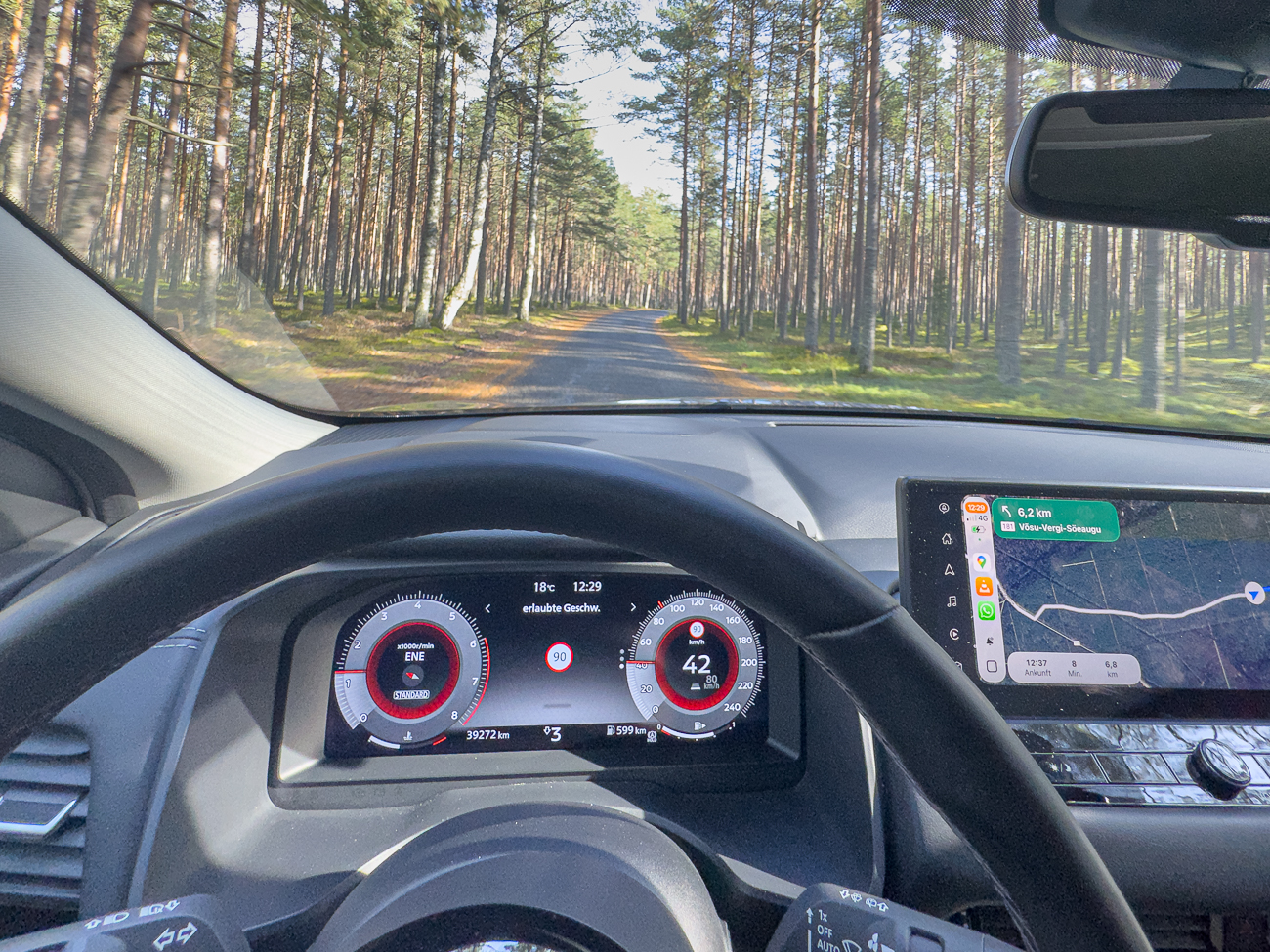 Enge Straße durch den Wald