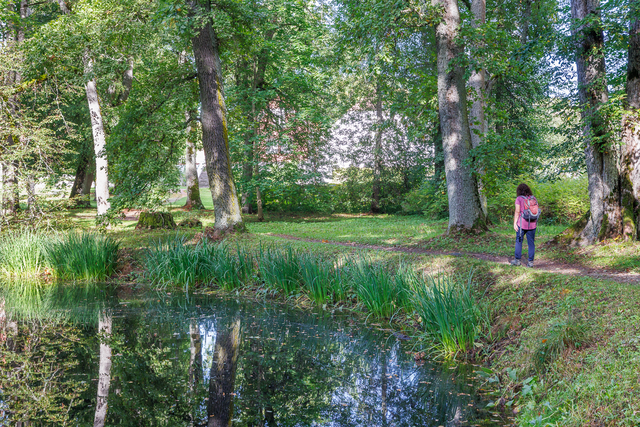 Teich hinter dem Hauptgebäude