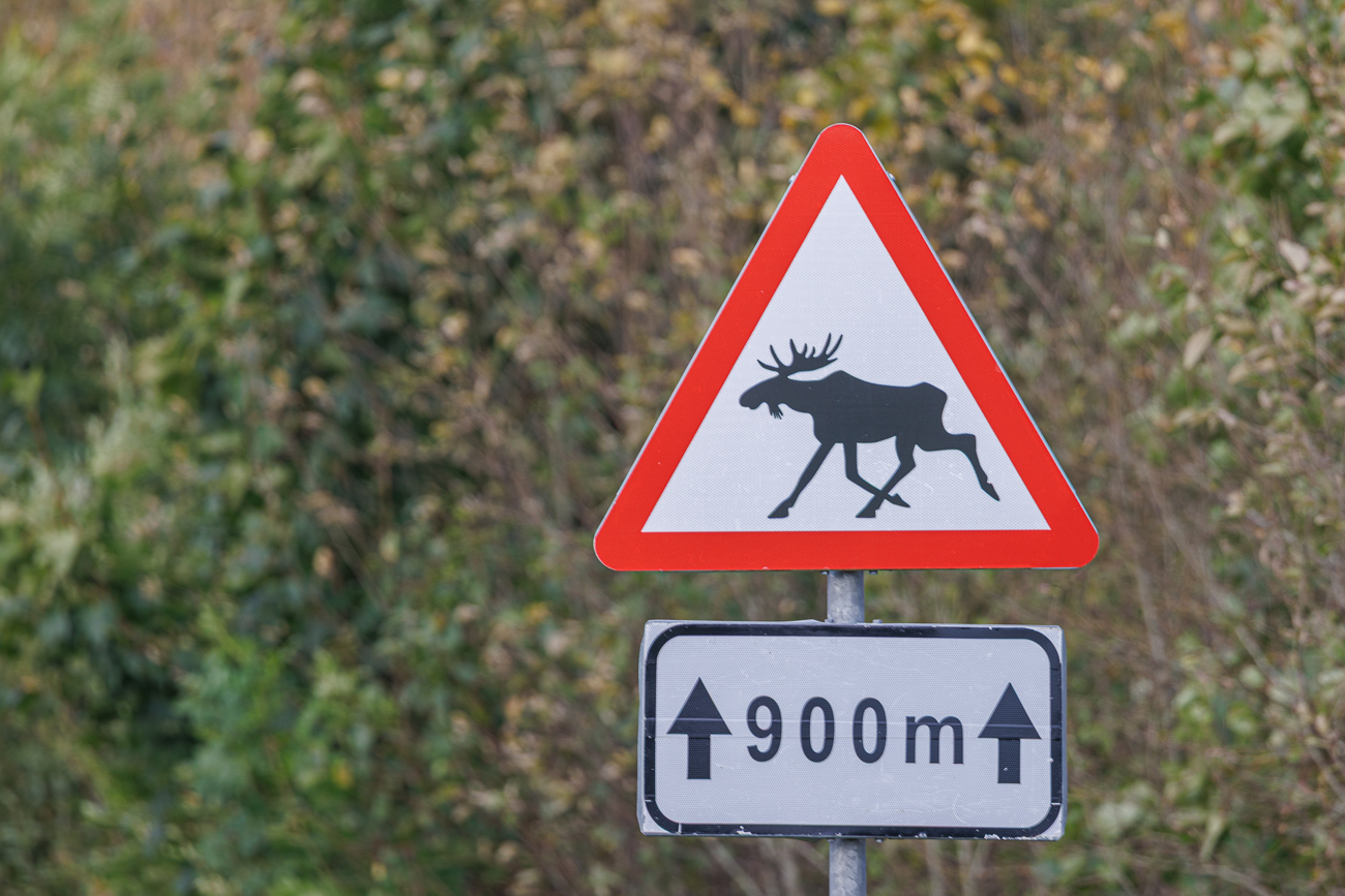 Auf der weiteren Fahrt wird immer wieder vor Elchen auf der Straße gewarnt, wir sehen aber leider keinen :-(