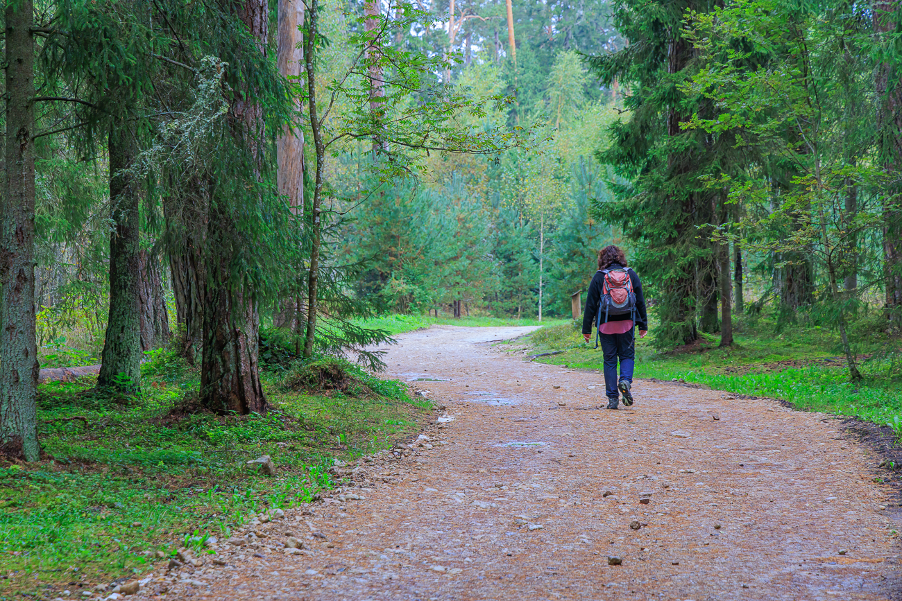 Auf einem Platz im Wald ...