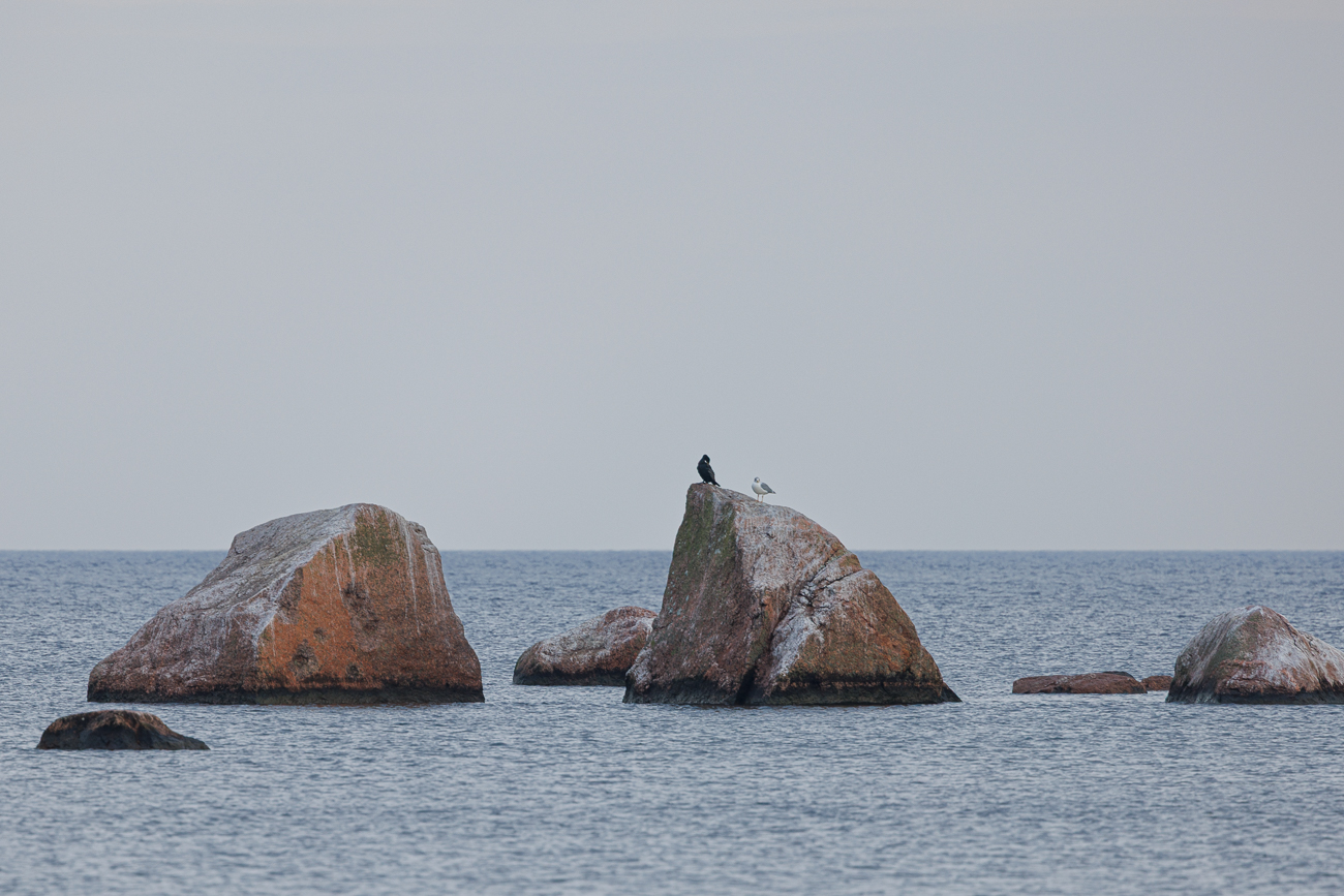 Gro&szlig;e Findlinge im Meer
