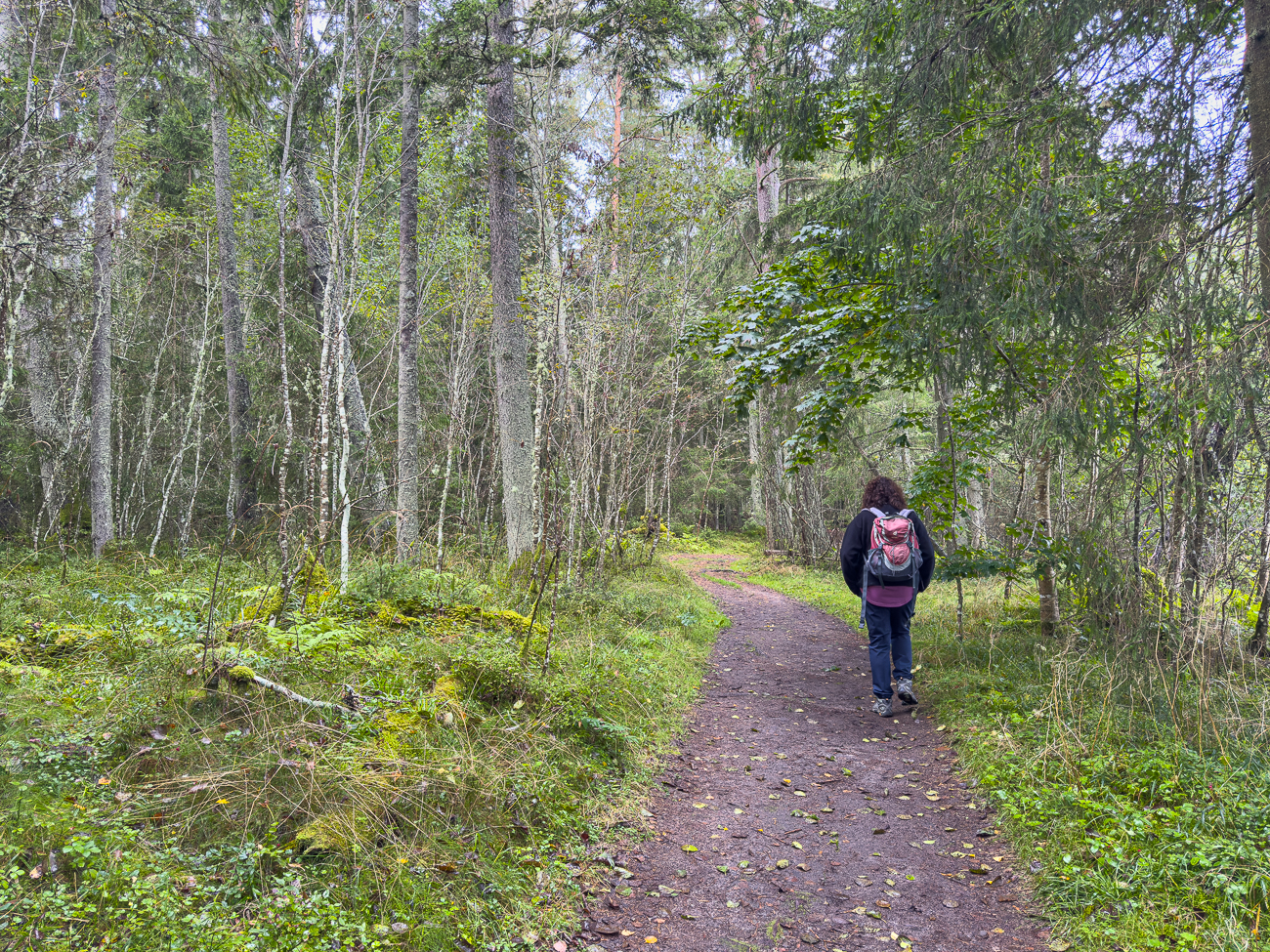 OK, der Weg ist auch feucht und weich ;-)