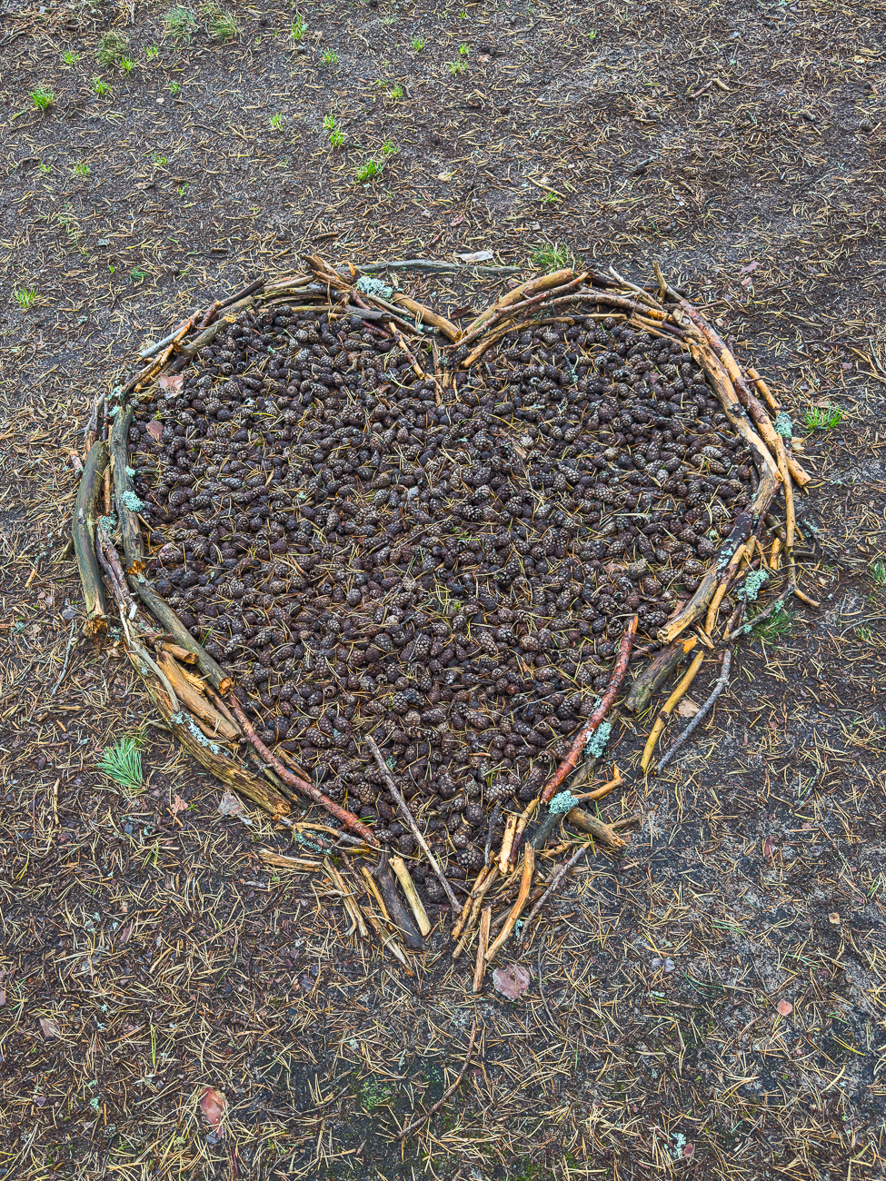 Herz aus Zapfen und St&ouml;ckchen ;-)