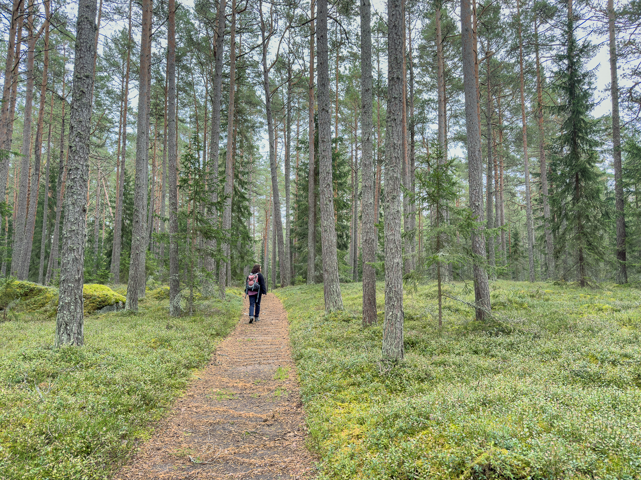 Immer der Blick in den Wald, ob B&auml;ren unterwegs sind ;-)
