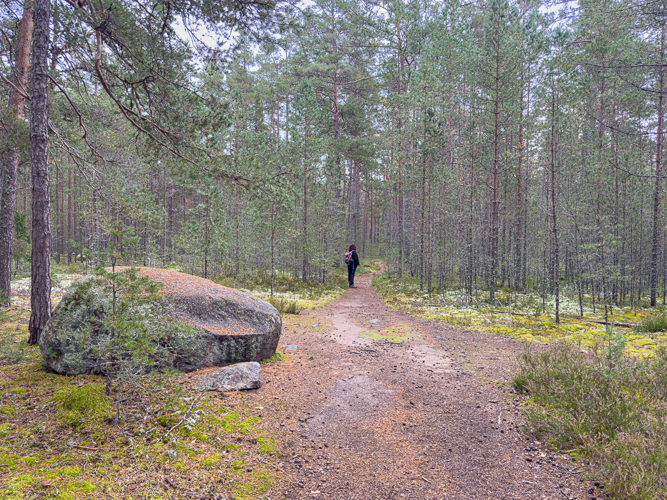 Rechts, links oder geradeaus?