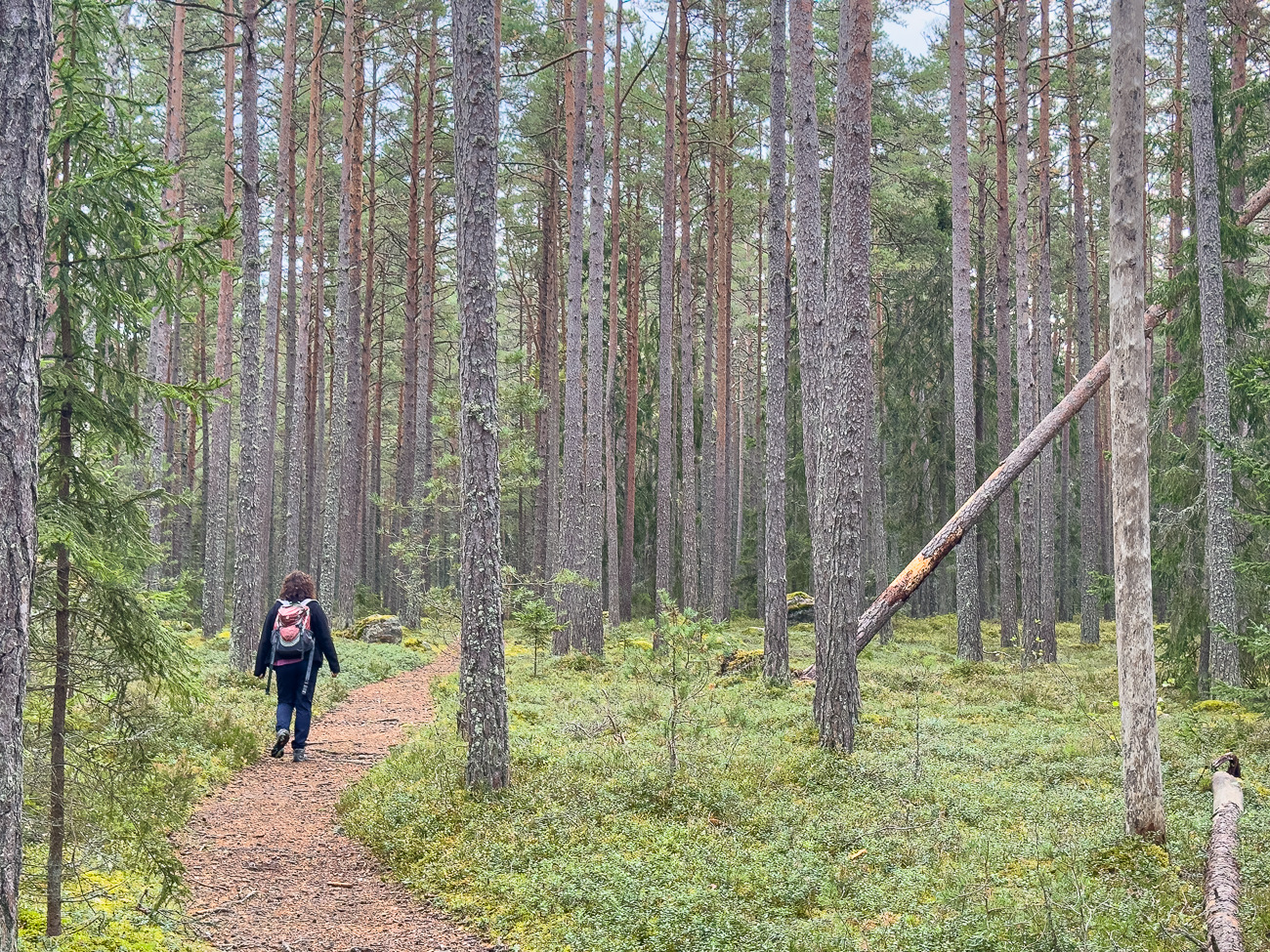 Dann geht es zum Auto zur&uuml;ck