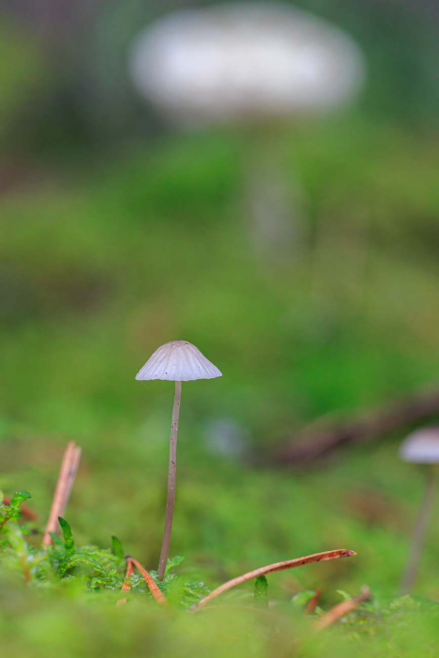 Auf dem R&uuml;ckweg haben wir ...