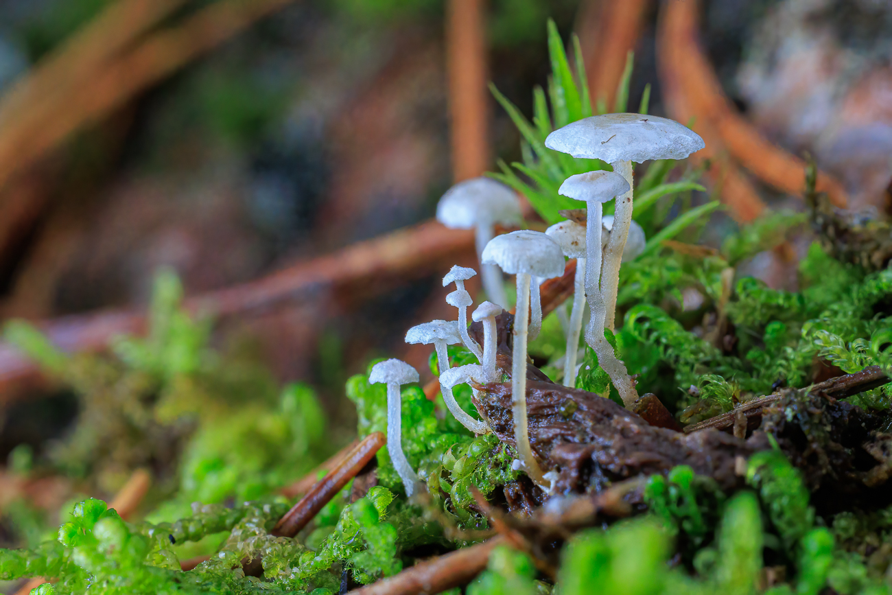 Aber wir kennen uns leider nicht aus ...