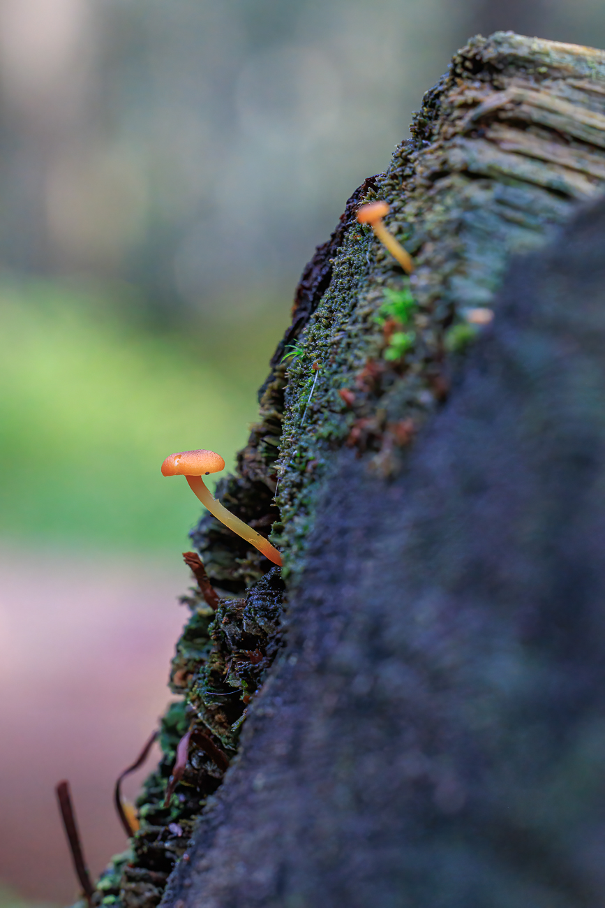 ... so dass wir einer Vergiftung durch Vermeidung entgehen ;-)