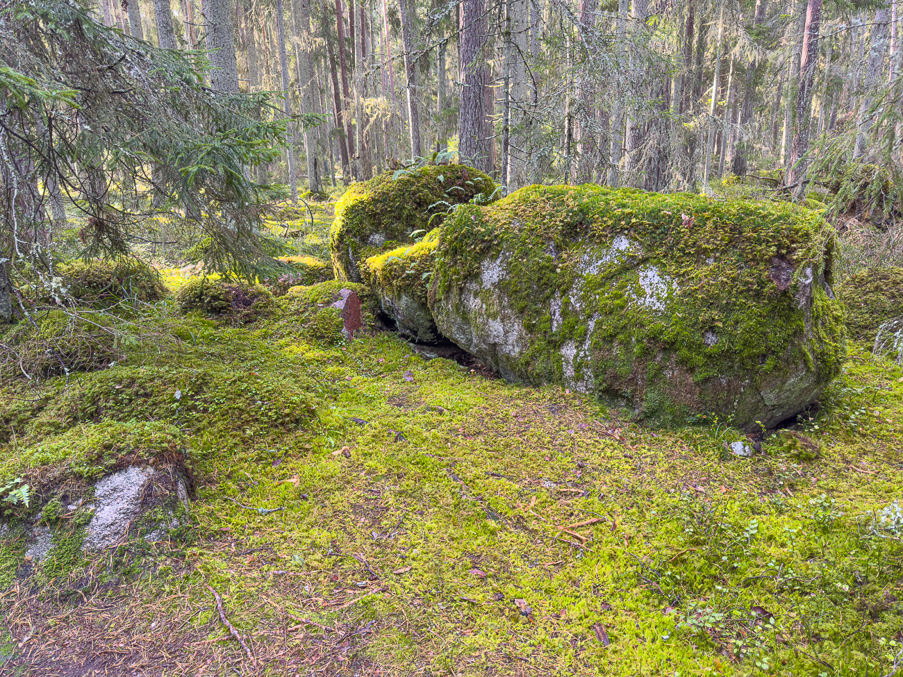 Zum Abschluss noch ein paar Findlinge ...