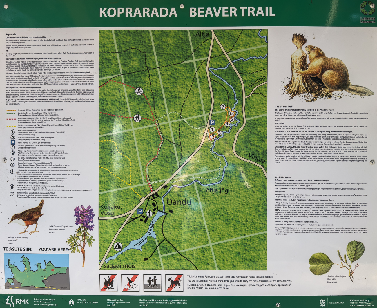 Unsere 2. Wanderung heute ...