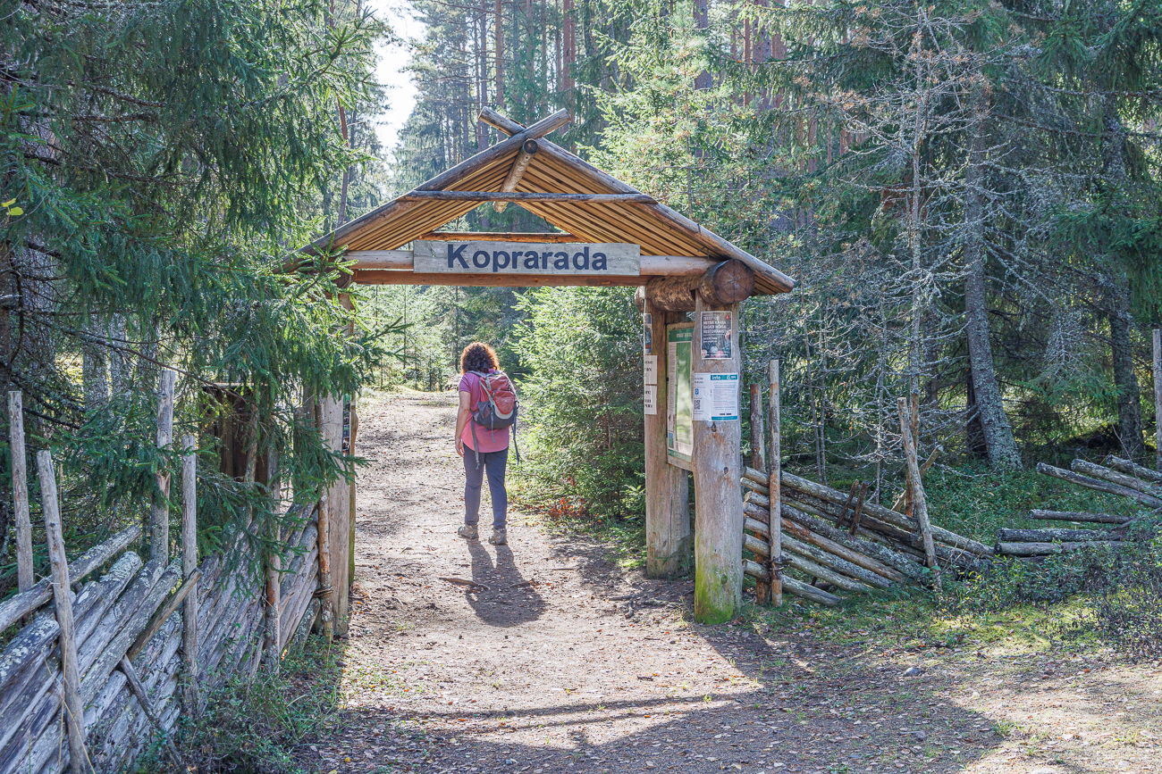 ... f&uuml;hrt uns auf den Biberpfad