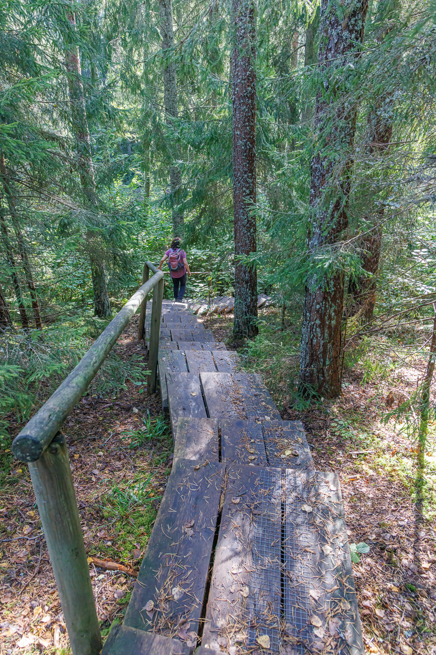 Sein H&auml;mmern ist weit zu h&ouml;ren ...