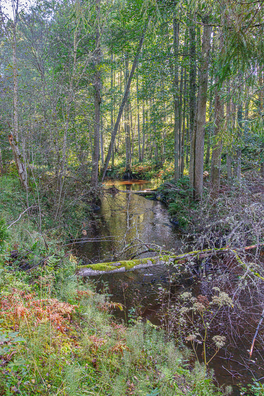 Das Fl&uuml;sschen Altja J&otilde;gi