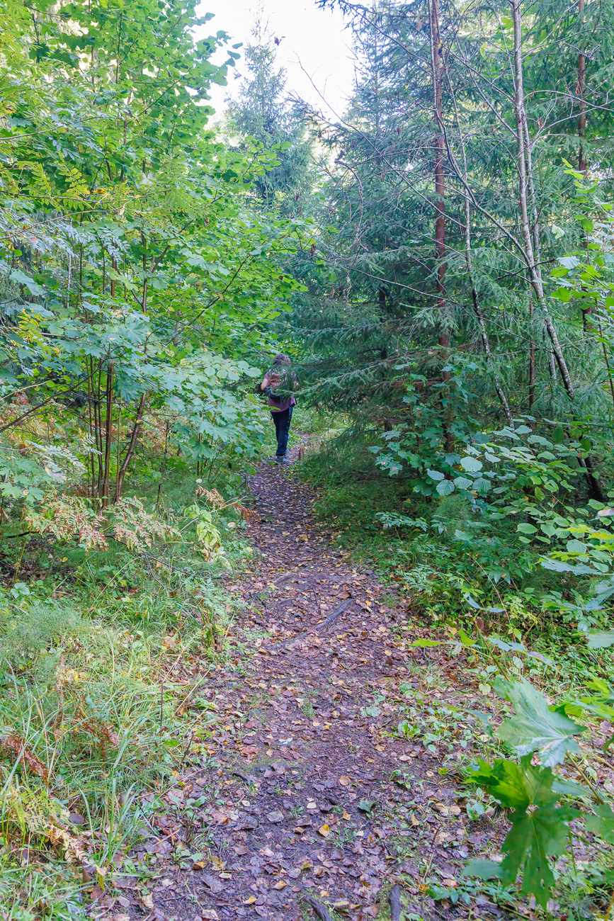 Der Weg ist schmal ...