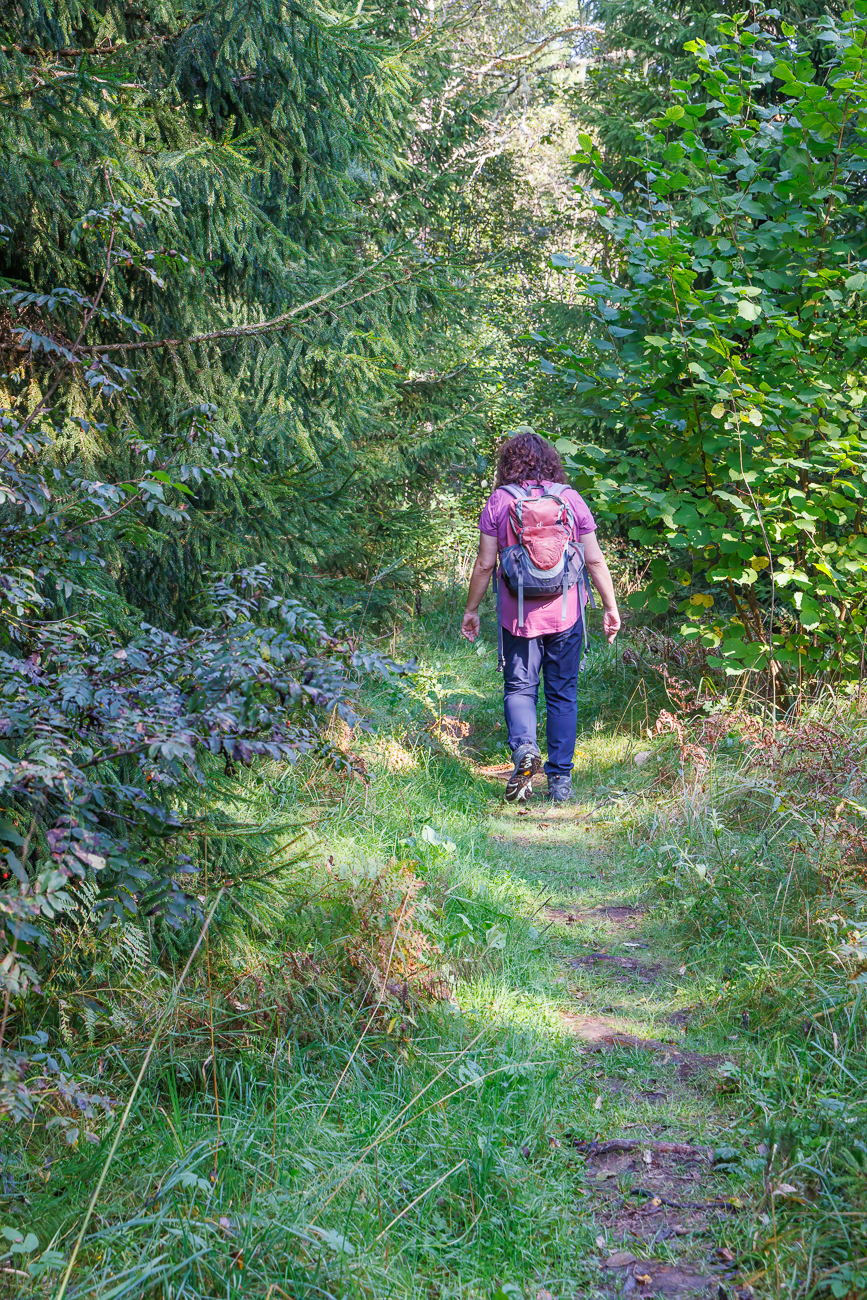 ... und wird etwas dichter