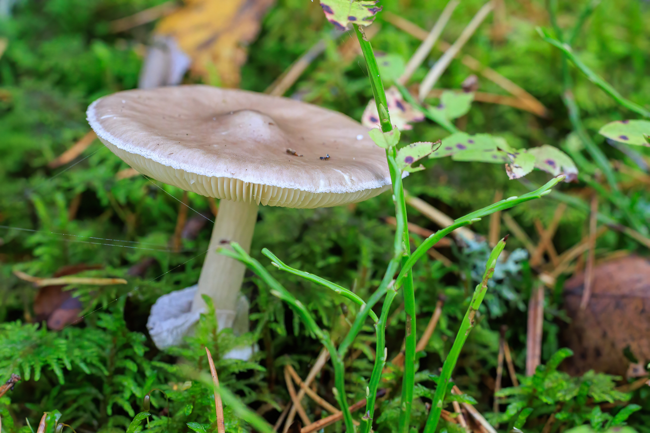 Herbst ist doch etwas sch&ouml;nes ;-)